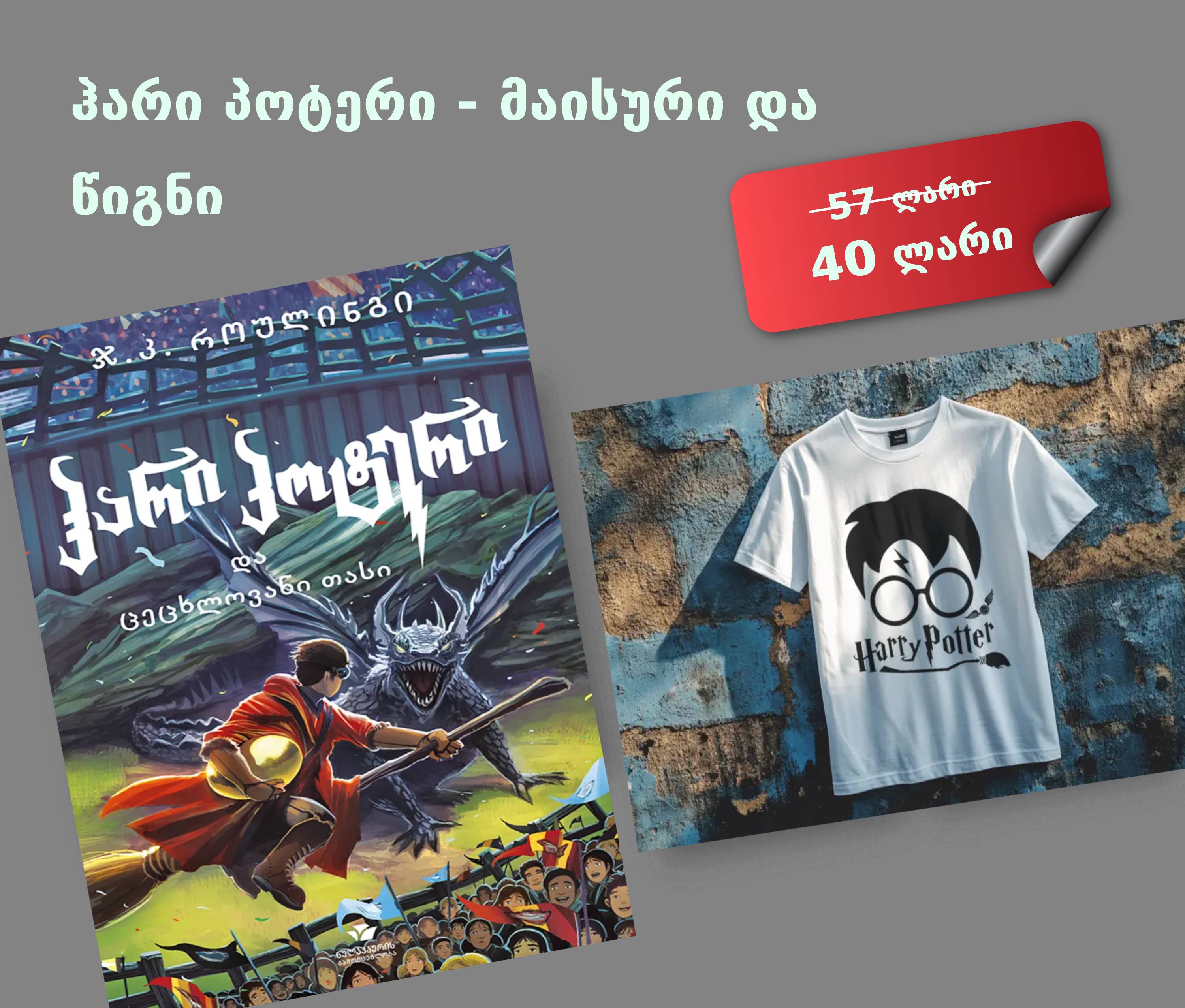 ჰარი პოტერის მაისური და წიგნი ერთად