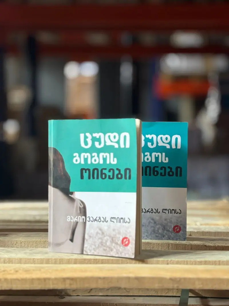 ცუდი გოგოს ოინები