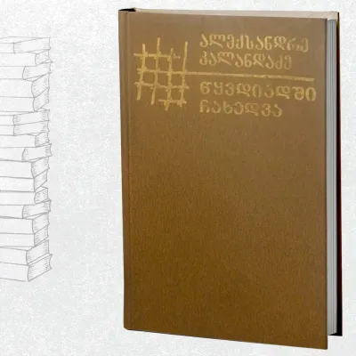 წყვდიადში ჩახედვა