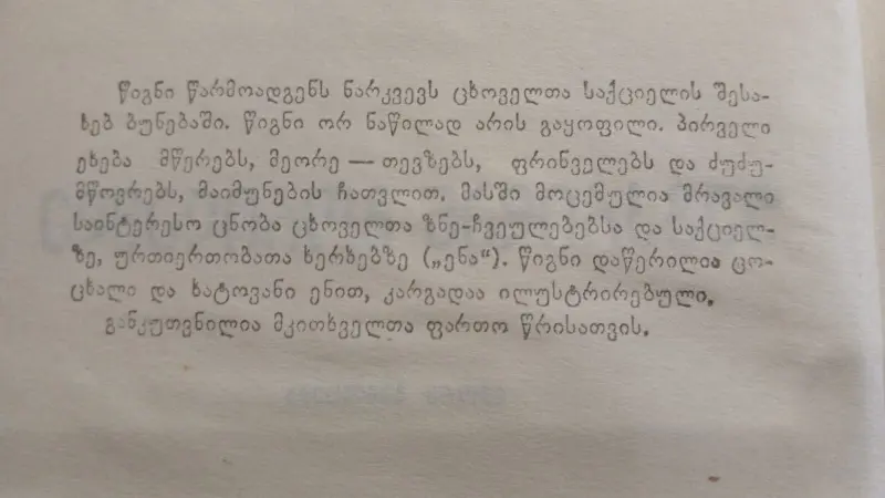 Additional Photo