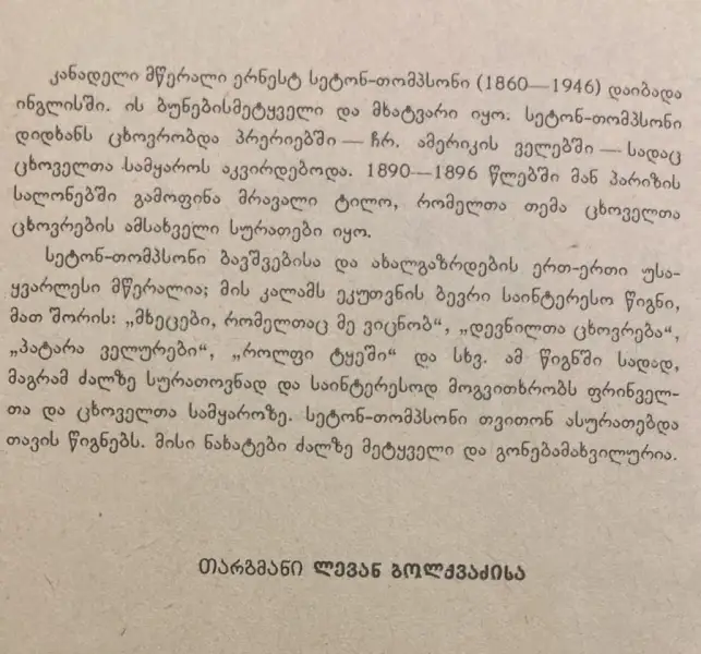 Additional Photo 2
