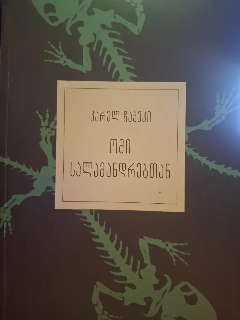 წიგნის სურათი