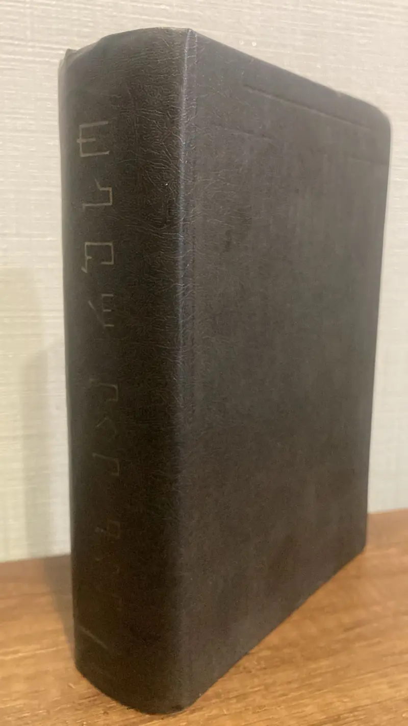 ჟიული ანუ ახალი ელოიზა