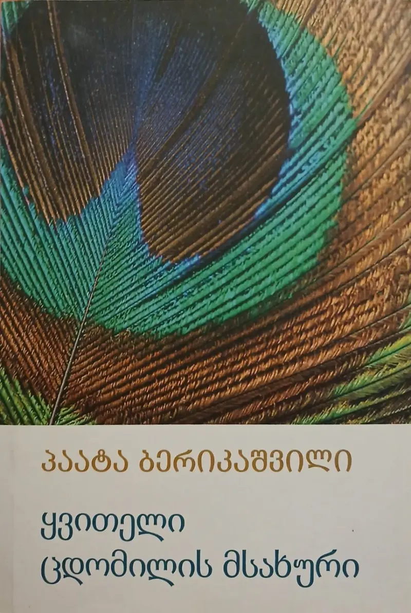 ყვითელი ცდომილის მსახური