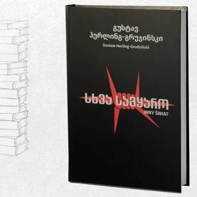 სხვა სამყარო